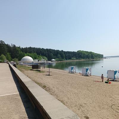 В деревне Сосновка под Новосибирском нашли младенца в коробке,  Новосибирская область, 7–11 января 2022 года - 11 января 2022 - НГС.ру