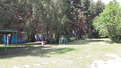 Сосновый бор, парк-отель в Новосибирске