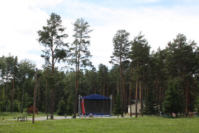 Сосновый Бор (парк, Новосибирск) — Википедия