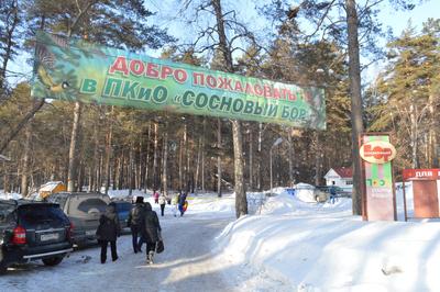 Главная - Гостиничный комплекс «Сосновый бор», Новосибирск - официальный  сайт