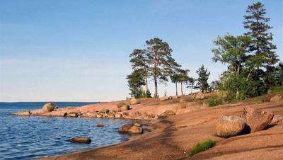 Финский залив Сосновый Бор - фото и картинки: 62 штук