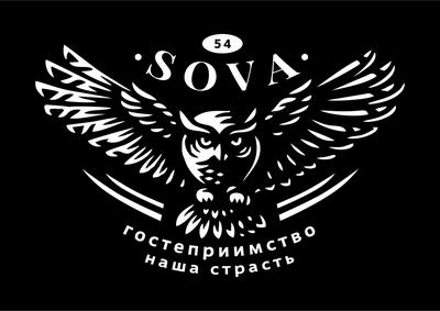 Сова 54 отель Новосибирск фото фотографии