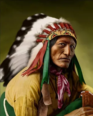 Правда ли, что американские индейцы — потомки монголоидов? | ЭтноФил | Дзен
