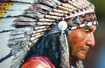 Вклад американских индейцев в мировое земледелие | Культура индейцев. Вклад  коренного населения Америки в мировую культуру | Л.А. Файнберг | Мир  индейцев