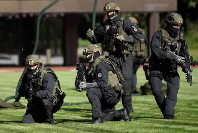 Германия: депутаты бундестага нашли сети правых экстремистов в армии и  полиции - BBC News Русская служба