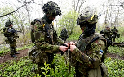 СМИ обнаружили в Эстонии секретную базу спецназа США — РБК