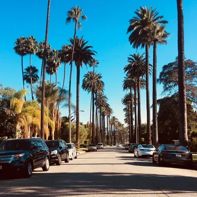 Картинки калифорнии Лос-Анджелес США Фонтаны Echo Park 2560x1706