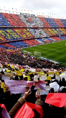 Как сейчас выглядит стадион Барселоны Камп Ноу — фото, видео, реконструкция  стадиона, жалко смотреть, планы строительства