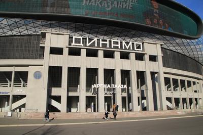 Трибуны и футбольное поле стадиона «Динамо» готовы — Комплекс  градостроительной политики и строительства города Москвы