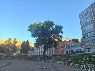 Стадион Нижний Новгород
