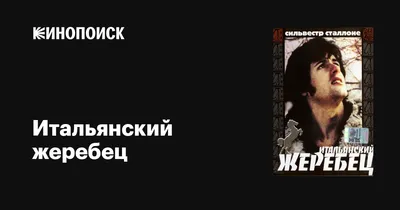 Сильвестр Сталлоне: 5 невероятных фактов из жизни актера - 7Дней.ру