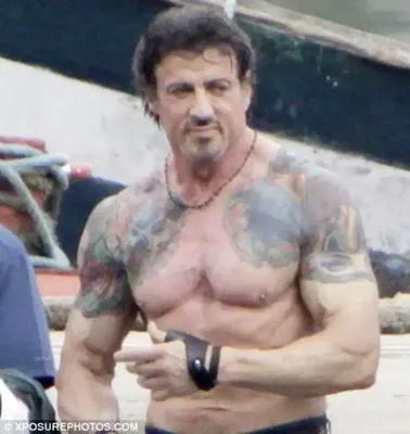 Сильвестр Сталлоне / Sylvester Stallone - IVONA.UA