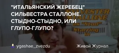 Топ-5 самых героических образов Сильвестра Сталлоне :: Новости :: ТВ Центр