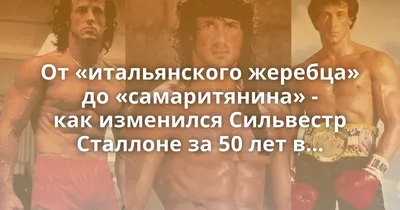 СИЛЬВЕСТР СТАЛЛОНЕ SYLVESTER STALLONE | ВКонтакте