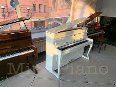Пианино Steinway Model 100 Upright Piano (1962) - 325778489494 - купить на  eBay.com (США) с доставкой в Украину | Megazakaz.com