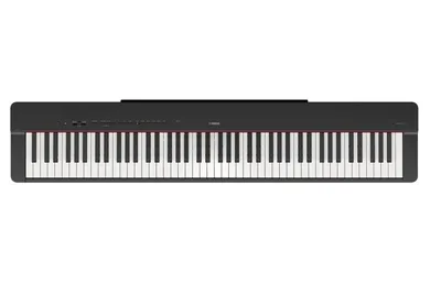 Фортепиано C. Bechstein. Купить немецкое фортепиано по выгодной цене.