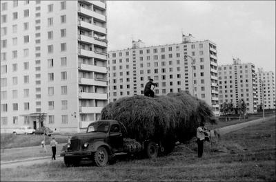 Старые рынки Москвы - Proshloe