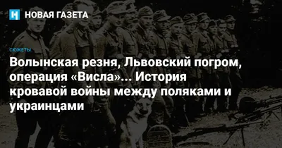 Central Intelligence Agency (США): Степан Бандера и «Украинское  государство» в 1941 году (ЦРУ, США) | 07.10.2022, ИноСМИ