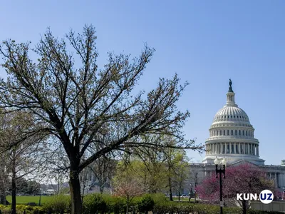 Самый крупный город, но не главный: почему Нью-Йорк не столица США