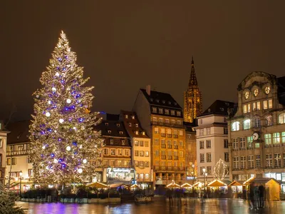 Страсбург категория с фото