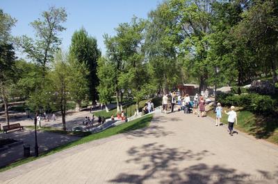 Струковский сад в Самаре (с временем работы, стоимость и как добраться)