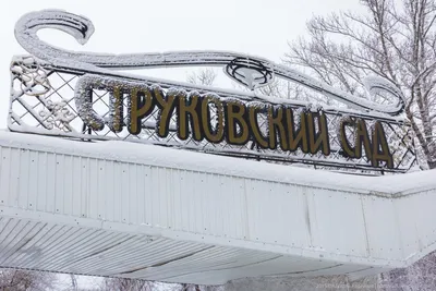 Струковский сад лишился нового скейтпарка | Другой город - интернет-журнал  о Самаре и Самарской области