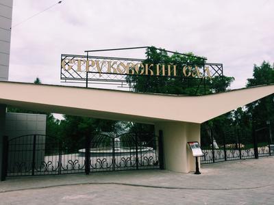 Проект реконструкции Струковского сада | Табурент