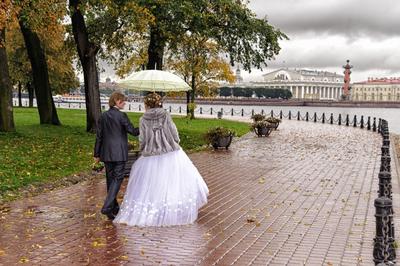Свадебная фотосессия СПб от 2500 р/час | Свадебная фотосессия Спб |  Свадебный фотограф — Фотостудия SF