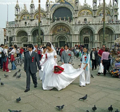 Свадьба в Венеции Александра и Юлии | Всё о свадьбе за границей | Дзен