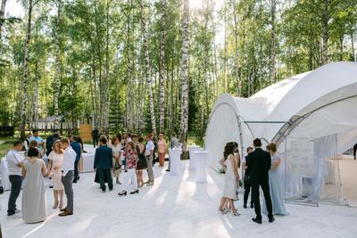 Свадьба за городом Нижегородская область | Свадьба на природе