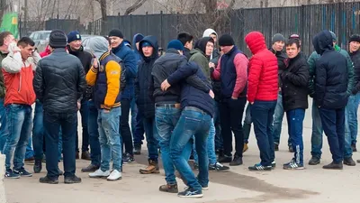 Русских стало мало. Киргизы и таджики пошли стенка на стенку в Москве |  Стоп-мигрант | Дзен
