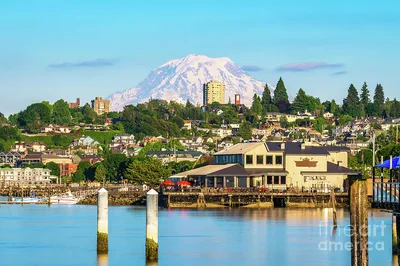 Tacoma, Washington, Usa by Sean Pavone