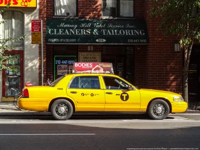 Нью-Йорк против нелегальных такси - Taxoport.com