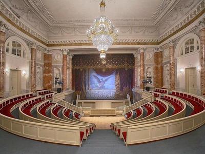 Открытие большого зала филармонии назвали событием года | Sobaka.ru