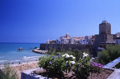 beach, termoli, puglia, italy, europe - SuperStock