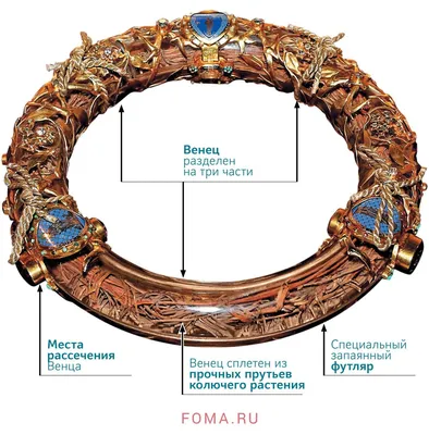 Терновый венец Спасителя. Инфографика - Православный журнал «Фома»