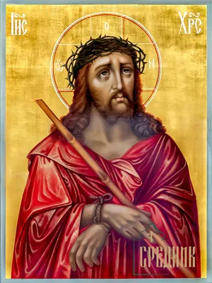Терновый венец иисуса христа 3d модель | Премиум Фото