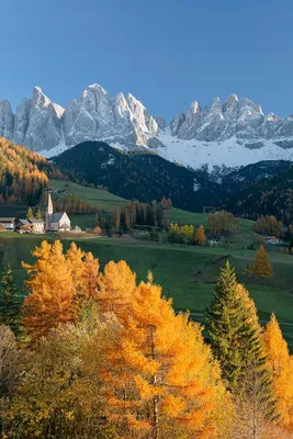 4 1912 DOLOMITES Italy TYROL Tirol CORTINA Postcard ANTIQUE Italian Alps |  eBay