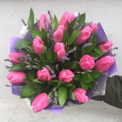 Almaflowers.kz | Букет из малиновых тюльпанов “Barselona Tulips” - купить в  Алматы по лучшей цене с доставкой