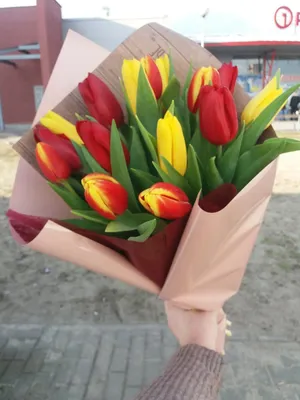 Луковицы тюльпан Брест Blooming life 5 шт. - купить в Москве, цены на  Мегамаркет