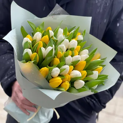 Tulip bulbs Brest - beautiful, fringed peony tulip! - Tulip Store