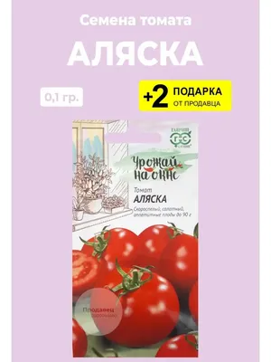 Семена томата ГАВРИШ Урожай на окне \"Аляска\" - «Отвечает ли всем описаниям  производителя и кому этот сорт сажать, а кому нет?» | отзывы