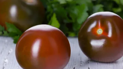 Почему не плодоносят помидоры на подоконнике и как это исправить | Огород  на подоконнике | Дзен