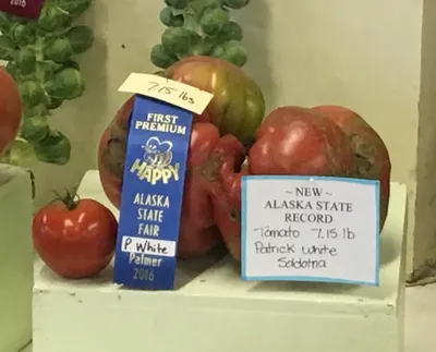 Alaska tomatoes - yes, tomatoes - shine at the farmers market - Anchorage  Daily News