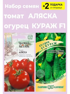 Alaska Wonder Tomato – Irish Seed Savers Association