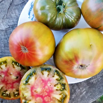 Продуктивные сорта томатов, с урожаем с куста 5-6 кг плодов. Буду  выращивать в этом году | Огородник из Сибири | Дзен