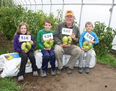 How to Ripen Green Tomatoes | Little House Big Alaska