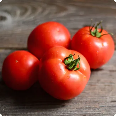 Alaska grown tomatoes, Alaska state flag, red beefsteak to… | Flickr