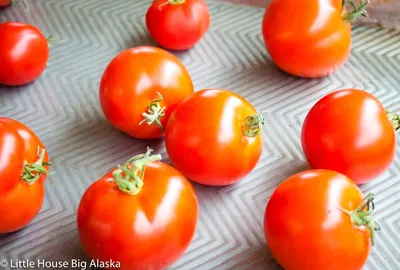Вырасти дома Семена томат \"Аляска\"