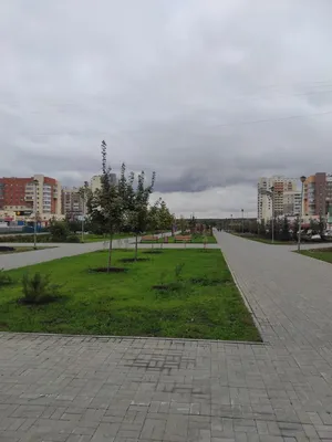 В Челябинске без воды остались 20 жилых домов из-за крупной коммунальной  аварии - KP.RU
